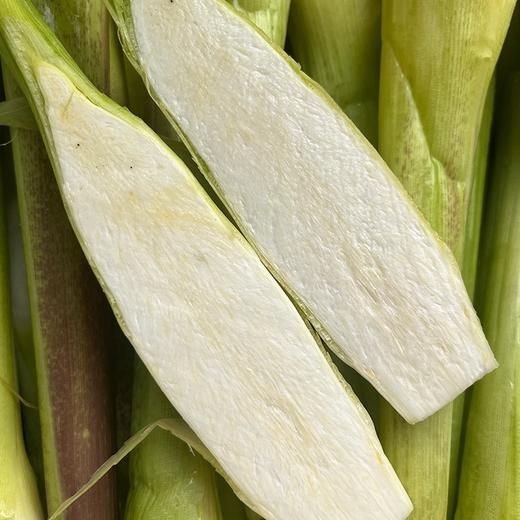 福建安溪茭白【约1.9斤】 商品图0