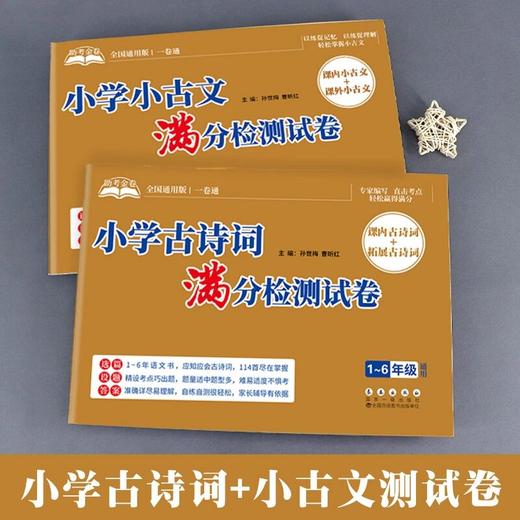 小学古诗词满分检测试卷课内课外古诗词阅读理解专项助考金卷 商品图4