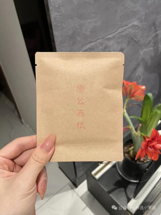 【野生蒲公英根茶（挂耳）】天然液体护甘片|肝净脸才净｜便秘水肿克星｜喝了就开心｜长白山壮龄野生蒲公英根｜烘烤香气 微苦回甘 商品图6