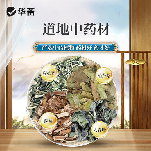 【积分兑换】华畜兽药四味穿心莲散500g 除湿化瘀泻痢积滞 大肠杆菌拉稀肠炎 禽用中兽药 商品图2