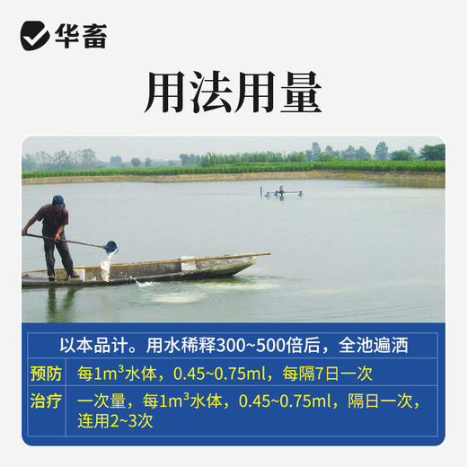 华畜水产 10%聚维酮碘溶液水产用10L 败血症 烂腮 化皮症 商品图2