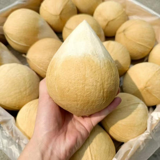 泰国老树椰皇 商品图6