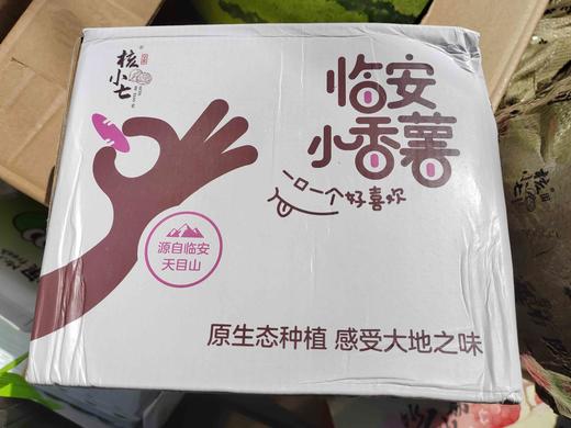临安小香薯（5斤装） 商品图0