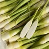 福建安溪茭白【约1.9斤】 商品缩略图8
