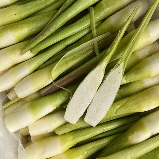 福建安溪茭白【约1.9斤】 商品图8