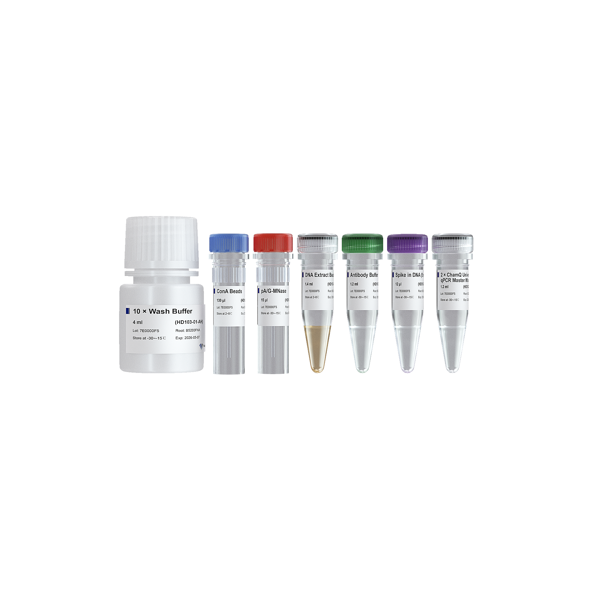 Hyperactive pA/G-MNase CUT&RUN Assay Kit for PCR/qPCR
