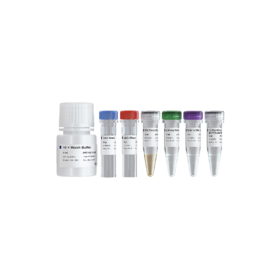 Hyperactive pA/G-MNase CUT&RUN Assay Kit for PCR/qPCR