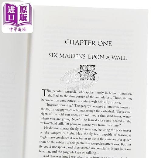 【中商原版】骑士与飞蛾 石水王国系列1 The Knight and the Moth  英文原版 Rachel Gillig 奇幻冒险小说 畅销浪漫故事 商品图2