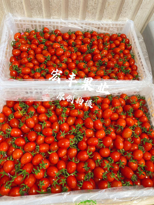 宏丰精选，红宝石千禧，新鲜到货不影响口感，活动价19.8元一斤 商品图7