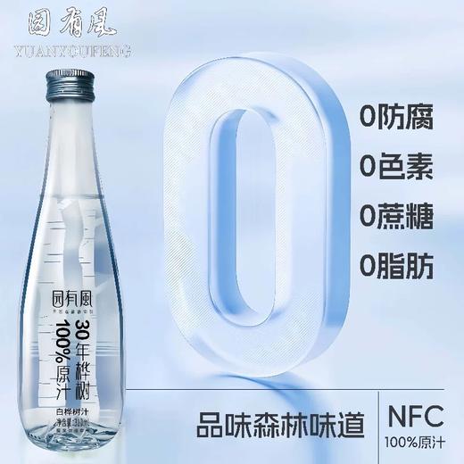 【BF】园有风100%桦树汁310ml 商品图0
