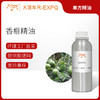 香榧精油 单方精油原料批发芳疗护理香氛调香香薰 大篷车精油 商品缩略图0
