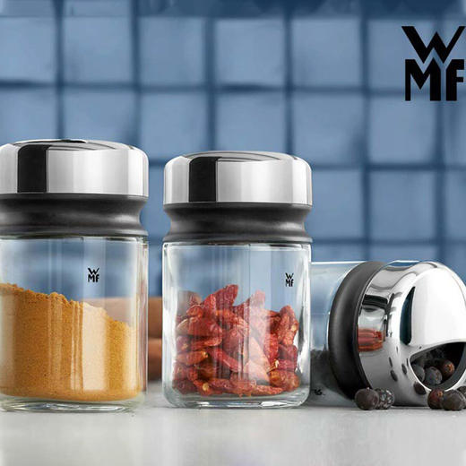 德国WMF福腾宝调味瓶4件套  0661586040 商品图0