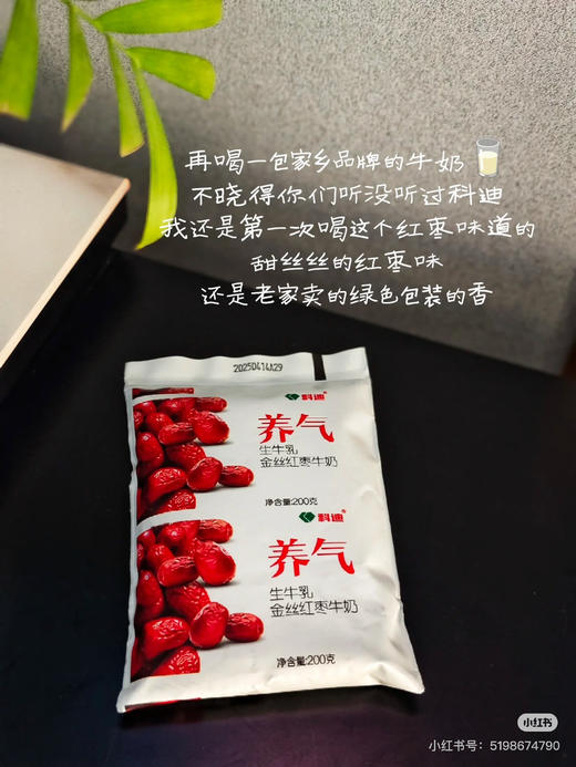 科迪金丝红枣牛奶 商品图0