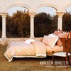 水星家纺南法系列60支长绒棉抑菌四件套透气亲肤套件床上用品严选 商品缩略图3
