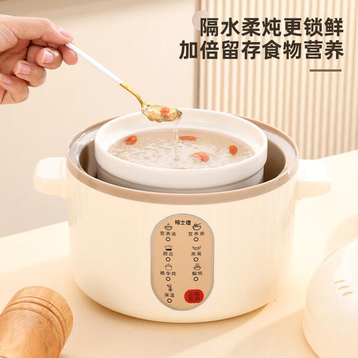 栢士德微电脑隔水电炖锅BSD-WG108【LXGWZQ1.0】 商品图2