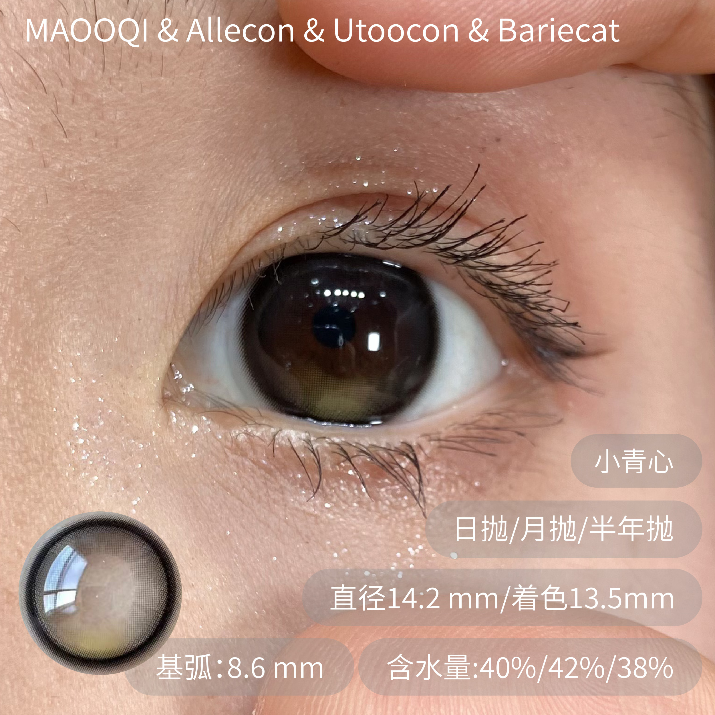 ALLECON小腮红&小卧蚕&小青心 半年抛allecon 日抛bariecat 月抛utoocon