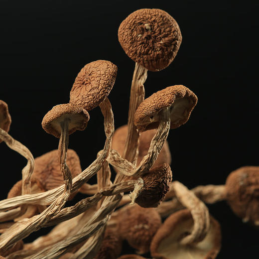 天生好果 菇类木耳银耳桂圆干山珍菌菇干货组合430g【LXGWZQ1.0】 商品图1