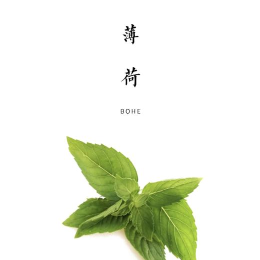薄荷 100g 商品图0