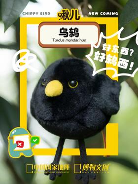 好东西？好鸫西！