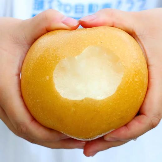 【顺丰发货】当季现摘山东秋月梨脆甜多汁 商品图4