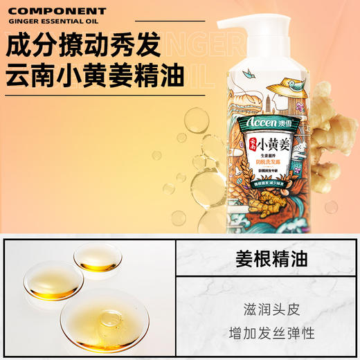 澳雪小黄姜洗发水500ml*2（防脱固发+头皮舒缓） 商品图2