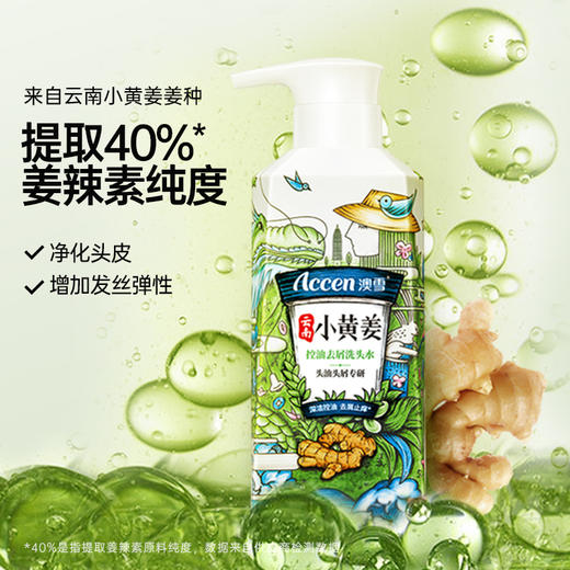 澳雪小黄姜洗发水500ml*2（防脱固发+控油去屑） 商品图5