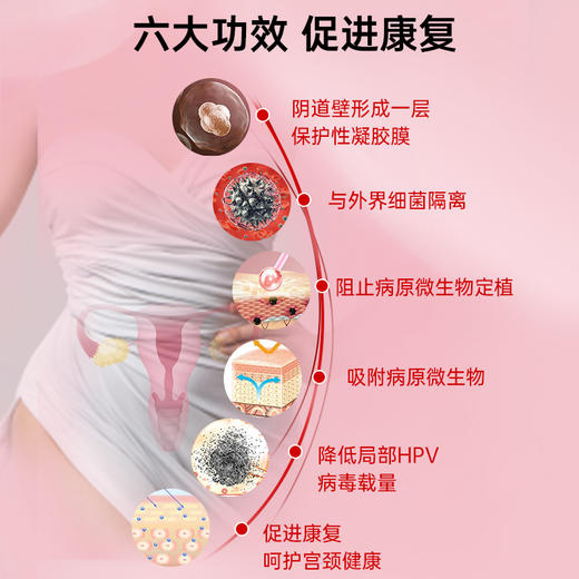 【会员专享】她丽康 医用妇科凝胶（HPV）抑菌正品宫颈糜烂炎症hpv病毒干扰素 商品图5