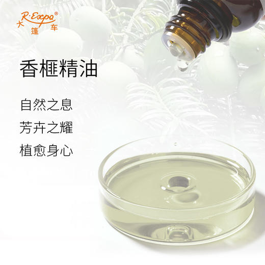 香榧精油 单方精油原料批发芳疗护理香氛调香香薰 大篷车精油 商品图1