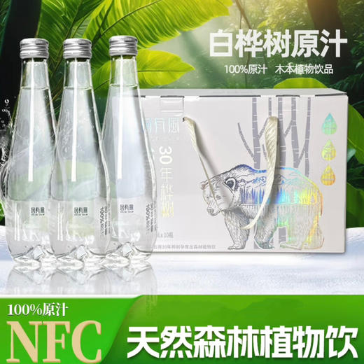 【BF】园有风桦树汁310ml*10瓶 礼盒装 商品图0