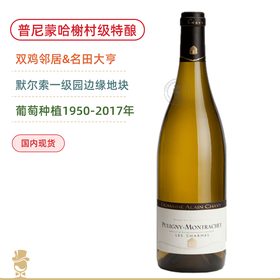 阿兰夏维酒庄普尼蒙哈榭魅园特酿村级干白 Domaine Alain Chavy Puligny Montrachet Les Charmes Blanc 2022