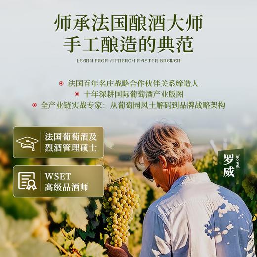 【酿酒大师亲酿作】路易拉菲云端葡园金色殿堂干白葡萄酒  清爽柑橘香气13.5%vol 商品图9