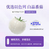 美白丸 （请单独付款） 商品缩略图4