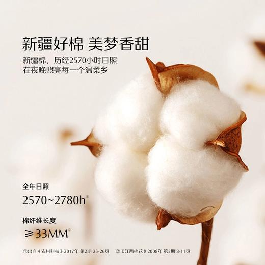 水星家纺御系列  60支长绒棉四件套 商品图2