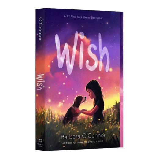 英文原版 愿望 英文原版 Wish 英文原版 进口英语书籍 商品图1