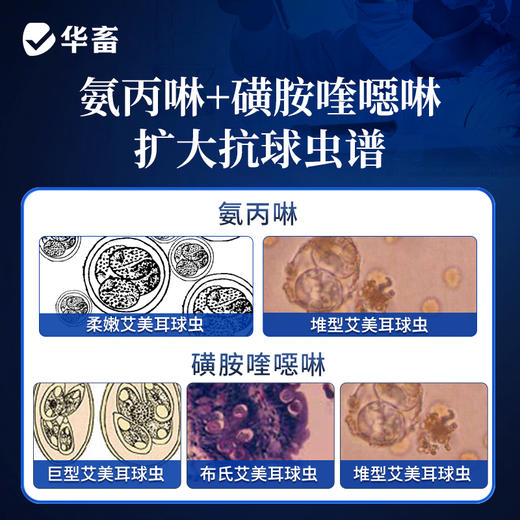 华畜盐酸氨丙啉磺胺喹噁啉钠可溶性粉 抗球虫病鸡鸭鹅球虫病专用药 F 商品图1