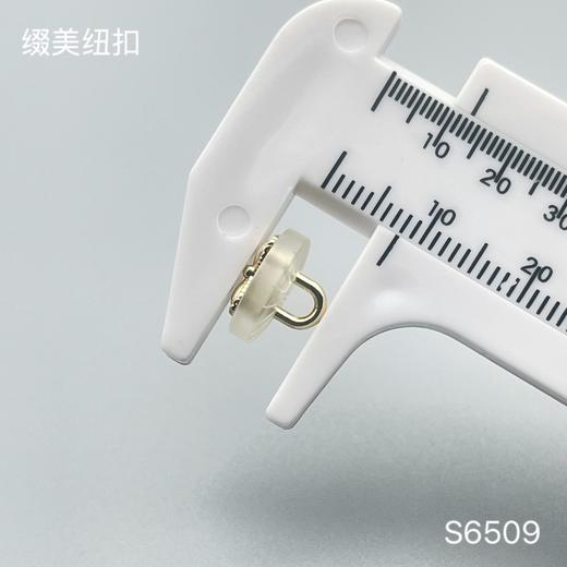 S6509(整包购买) 商品图3