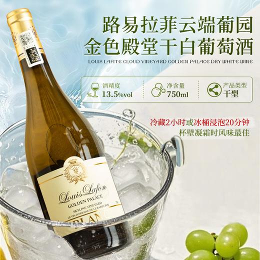【酿酒大师亲酿作】路易拉菲云端葡园金色殿堂干白葡萄酒  清爽柑橘香气13.5%vol 商品图3