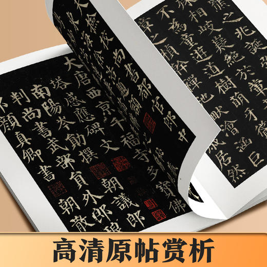 【入门图解】颜真卿多宝塔碑 毛笔字帖初学教程单字放大解析颜真卿多宝塔碑 商品图8