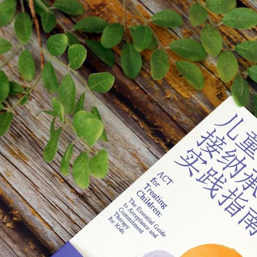儿童接纳承诺疗法实践指南 商品图8