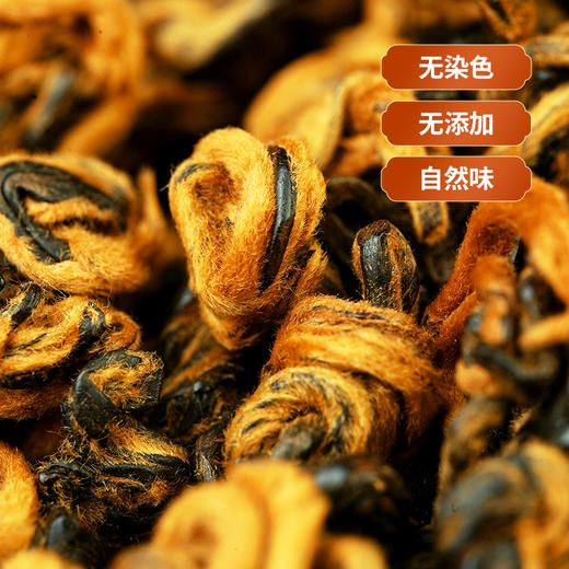 新品上新【滇红金螺】2025年春茶！凤庆滇红茶特级红茶浓香型黄金螺云南古树新芽春茶蜜香200克/罐 商品图4