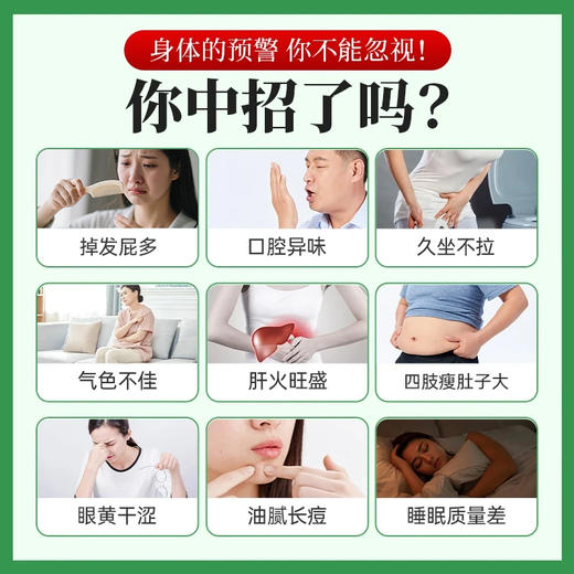 天天清养肝护肝茶  2g/袋*12袋 润肠通便绞股蓝 商品图4