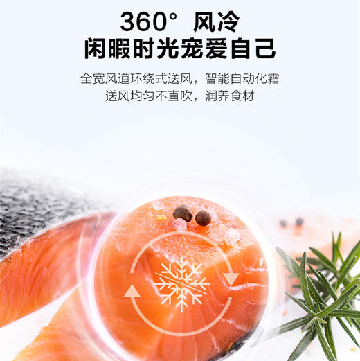 海尔（Haier）冰箱 BCD-450WGHFDEDW9U1 商品图5