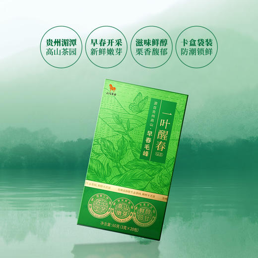 【2026年春茶】八马茶业 | 一叶醒春贵州高山绿茶早春毛峰60g 商品图2