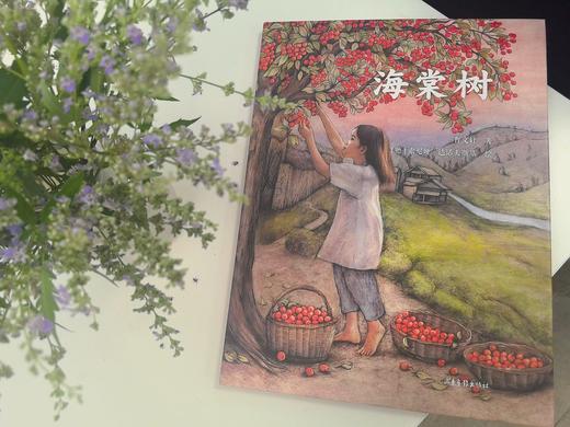 海棠树 商品图1