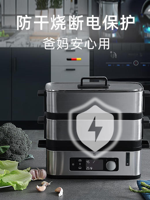 德国WMF福腾宝智巧电蒸炉不锈钢蒸锅 0415099911 商品图5