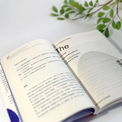 儿童接纳承诺疗法实践指南 商品图5