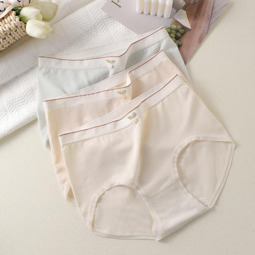 女士中腰简约内裤无痕女式抗菌裆舒适可爱学生少女风8639 商品图3
