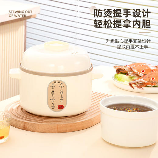 栢士德微电脑隔水电炖锅BSD-WG108【LXGWZQ1.0】 商品图4