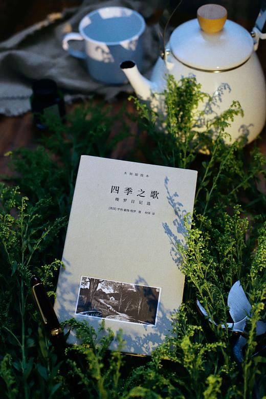 《梭罗文集：瓦尔登湖+四季之歌+夜色和月光》（全3册） 商品图4