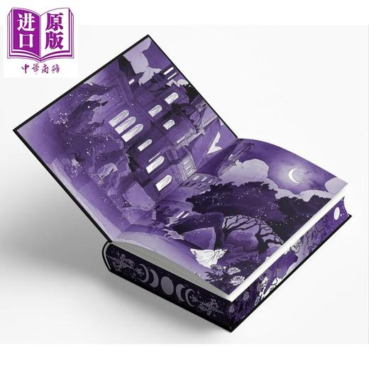 【中商原版】狼噬 豪华限量版 Bitten Deluxe Limited Edition 英文原版 Jordan Stephanie Gray 爱情小说 商品图3